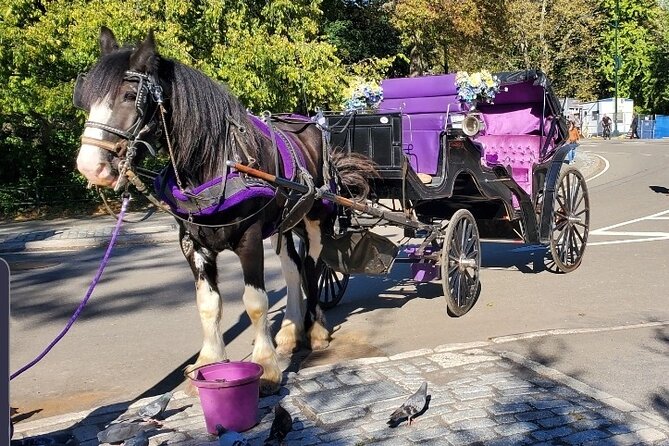 Official Private New York City Central Park Horse Carriage Ride Since 1965™ - Key points to know before booking