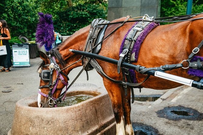 Official Private New York City Central Park Horse Carriage Ride Since 1965™ - The Mall and Balto’s story