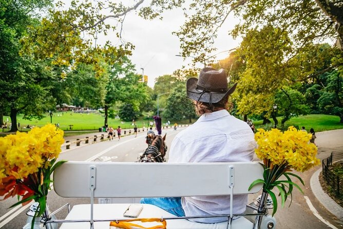 Official Private New York City Central Park Horse Carriage Ride Since 1965™ - Bethesda Fountain and the best photo stop