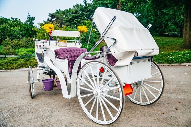 Official Private New York City Central Park Horse Carriage Ride Since 1965™ - Cherry Hill, the Lake, and Bow Bridge views