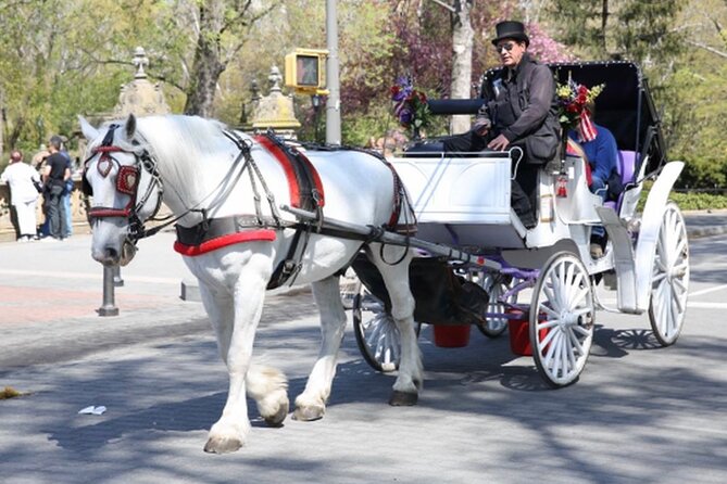 Official Private NYC Central Park Horse Carriage Ride Since 1970™ - From the carousel to the Dairy
