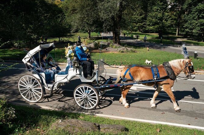 Official Private NYC Central Park Horse Carriage Ride Since 1970™ - Tavern on the Green and the Elf bridge
