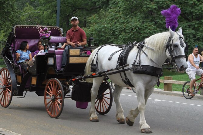 Official Private NYC Central Park Horse Carriage Ride Since 1970™ - What the guides add to the ride
