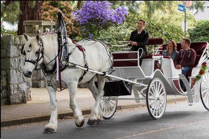 Official Private NYC Central Park Horse Carriage Ride Since 1970™ - Balto and Rumsey Playfield on the standard route