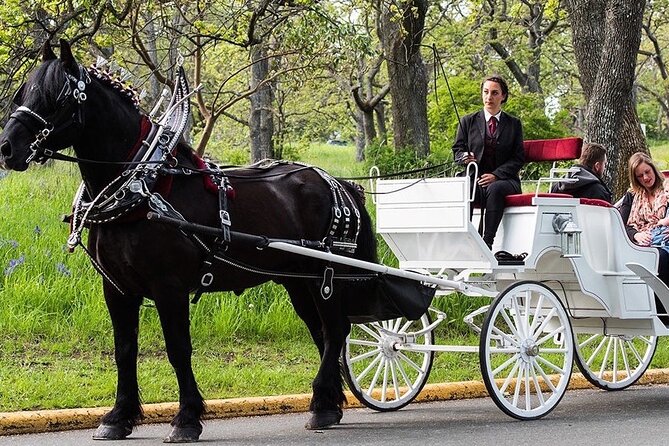 Official Private NYC CentralPark Horse Carriage Ride Since 1972 - Starting at 180 Central Park South