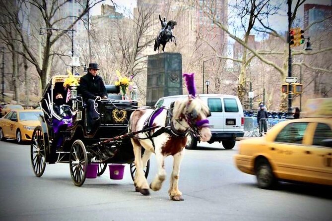 Official Private NYC CentralPark Horse Carriage Ride Since 1972 - The Plaza, Balto, and Rumsey Playfield
