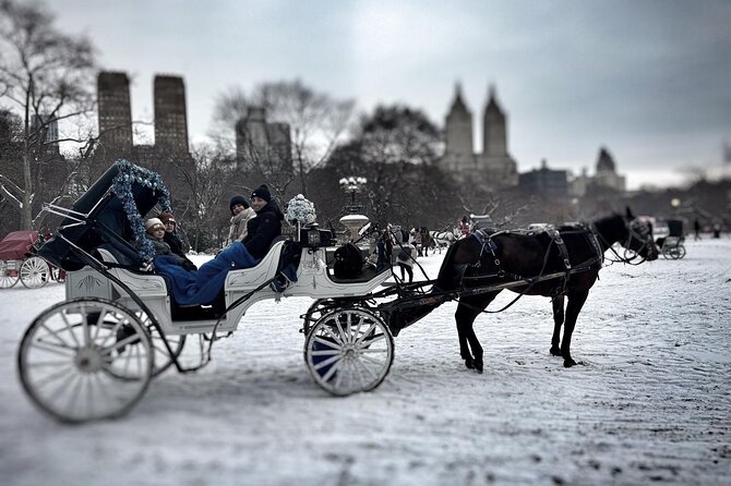 Official Private NYC CentralPark Horse Carriage Ride Since 1972 - Cherry Hill and the best photo pause