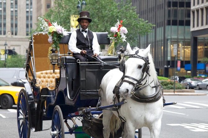 Official Private NYC CentralPark Horse Carriage Ride Since 1972 - Wollman Rink, the Carousel, and the park’s southern edge