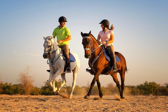 One Hour Desert Horseback Riding Adventure From Sharm El Sheikh - Key points to know before booking