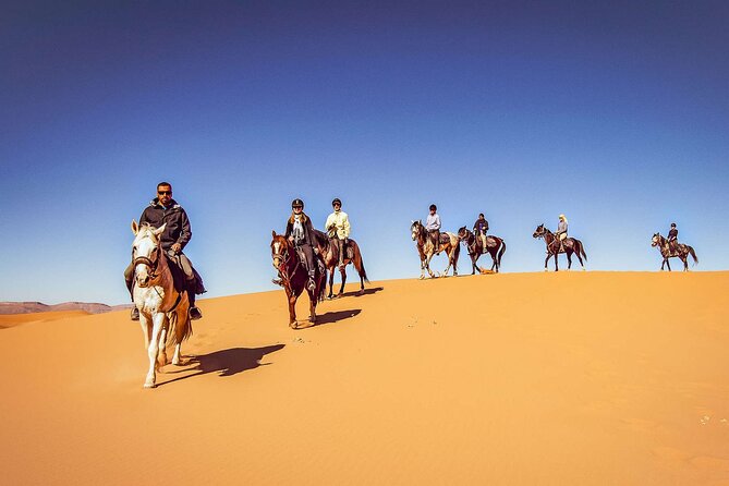 One Hour Desert Horseback Riding Adventure From Sharm El Sheikh - Trading the resort for Sharm El Sheikh’s desert