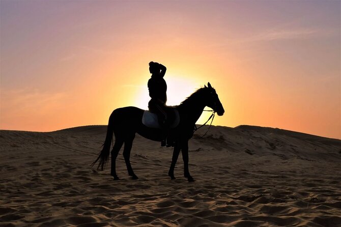 One Hour Desert Horseback Riding Adventure From Sharm El Sheikh - One hour on horseback in the desert