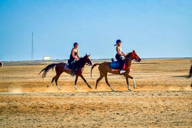 One Hour Desert Horseback Riding Adventure From Sharm El Sheikh - Horse care and staff support