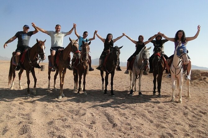 One Hour Desert Horseback Riding Adventure From Sharm El Sheikh - Who will enjoy this ride most?