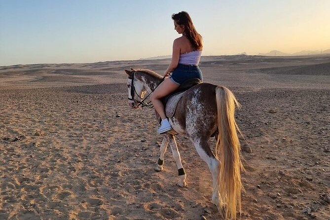 One Hour Desert Horseback Riding Adventure From Sharm El Sheikh - Practical details that can save you trouble
