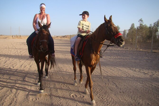 One Hour Desert Horseback Riding Adventure From Sharm El Sheikh - What happens from hotel pickup to the riding area