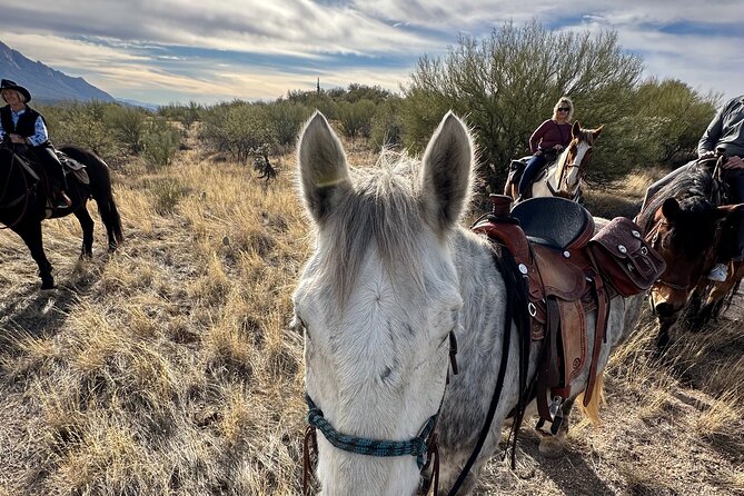 One Hour Guided Horseback Ride - Practical tips for a better ride