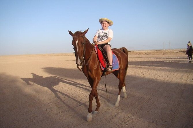 One Hour Horse or Camel Riding with Transfer- Sharm El-Sheikh - From your Sharm El Sheikh hotel to the desert stable