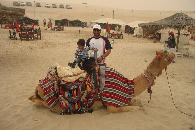 One Hour Horse or Camel Riding with Transfer- Sharm El-Sheikh - Choosing your horse, camel, or both