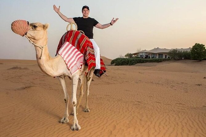 One Hour Horse or Camel Riding with Transfer- Sharm El-Sheikh - Returning to the stable and hotel