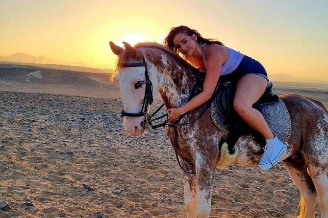 One Hour Horse or Camel Riding with Transfer- Sharm El-Sheikh - What the $28 price really buys