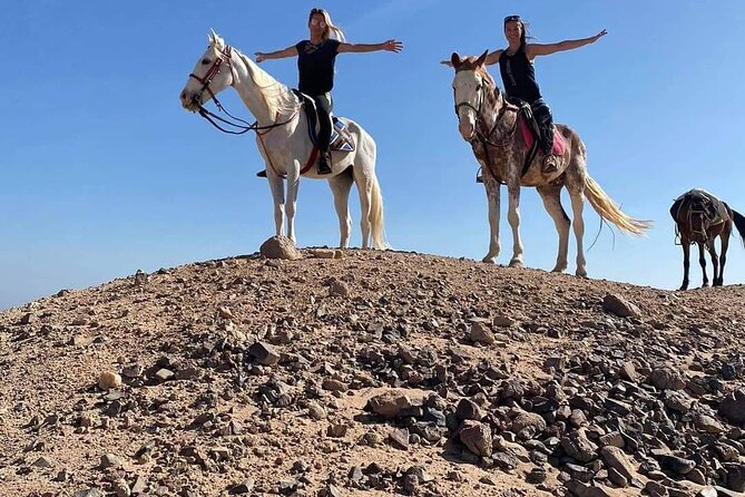 One Hour Horse or Camel Riding with Transfer- Sharm El-Sheikh - Is this suitable for beginners and families?