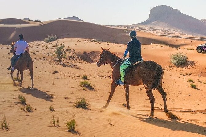 One Hour Horse or Camel Riding with Transfer- Sharm El-Sheikh - How the guiding shapes the experience