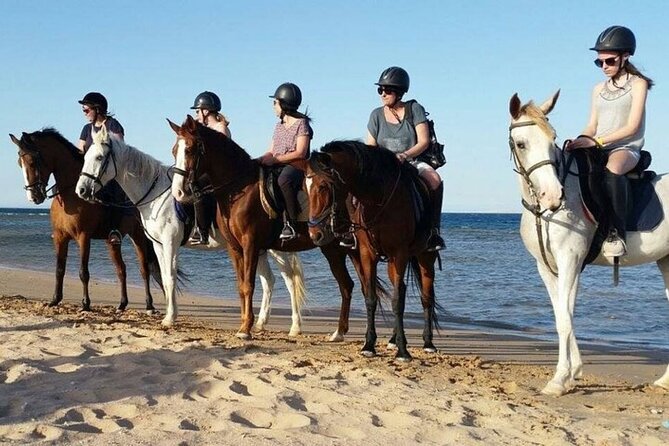 One Hour Horse Riding Beach with Transfer from Hurghada - Key points at a glance