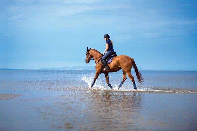 One Hour Horse Riding Beach with Transfer from Hurghada - The one-hour route through sand and desert trails