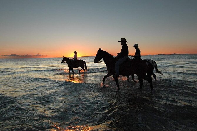 One Hour Horse Riding Beach with Transfer from Hurghada - Who will enjoy this ride most