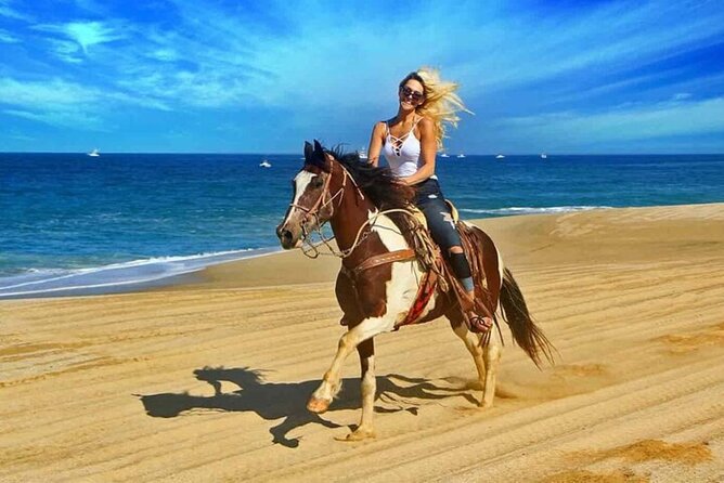 One Hour Horse Riding Beach with Transfer from Hurghada - Small details that make a difference