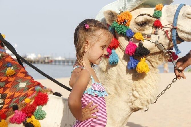 One Hour Horse Riding or Camel Riding At Amazing Desert in Hurghada - Why the sunset timing matters