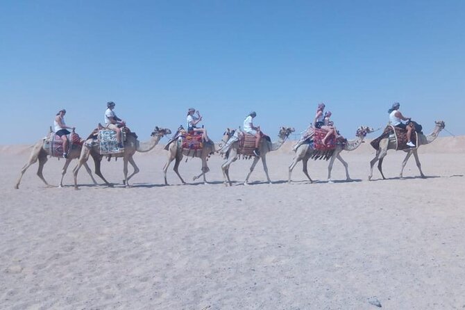 One Hour Horse Riding or Camel Riding At Amazing Desert in Hurghada - Pickup zones and extra charges