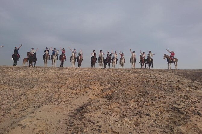 One Hour Horse Riding or Camel Riding At Amazing Desert in Hurghada - How this compares with a longer desert outing