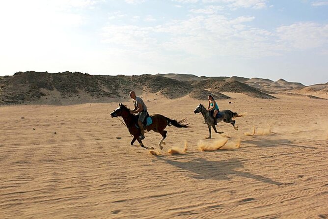 One Hour Horse Riding or Camel Riding At Amazing Desert in Hurghada - Choosing a horse or camel for one hour