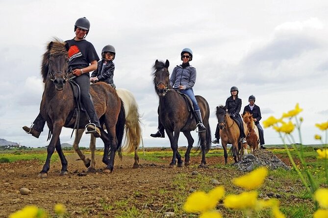 One-Hour Horseback Riding Tour in the Icelandic Countryside - A Short Ride With a Clear Purpose