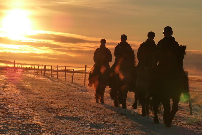 One-Hour Horseback Riding Tour in the Icelandic Countryside - Meeting the Icelandic Horses at Hótel Eldhestar