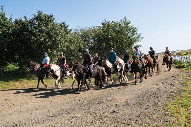 One-Hour Horseback Riding Tour in the Icelandic Countryside - What the One-Hour Length Means
