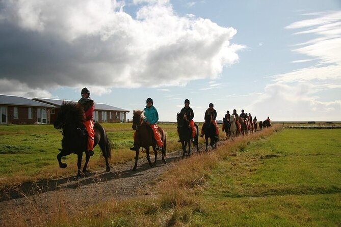 One-Hour Horseback Riding Tour in the Icelandic Countryside - Is the Eldhestar One-Hour Ride Worth Booking?