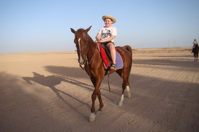 One Hour Horseback Riding Trip with Transfer - Sharm El Sheikh - A short ride into the Sinai Desert