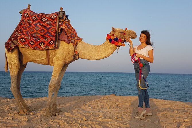 One Hour Horseback Riding Trip with Transfer - Sharm El Sheikh - Guides, safety, and comfort