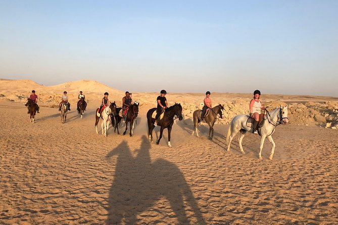 One Hour Horseback Riding Trip with Transfer - Sharm El Sheikh - Who will enjoy this outing most