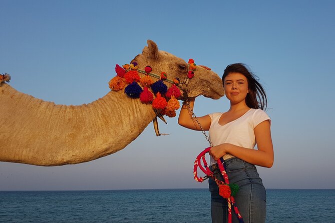 One Hour Horseback Riding Trip with Transfer - Sharm El Sheikh - At the stable, choose a horse or camel