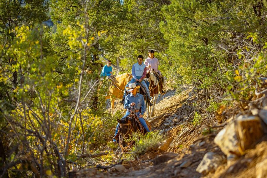 Orderville: Checkerboard Evening Shadow Horseback Ride - The horses and the guide make the difference
