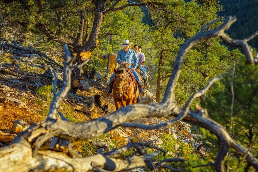 Orderville: Checkerboard Evening Shadow Horseback Ride - Who will enjoy this ride most