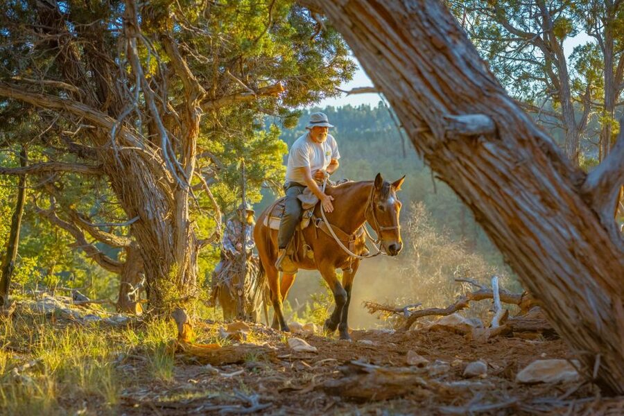 Orderville: Checkerboard Evening Shadow Horseback Ride - Is $89 a fair price?