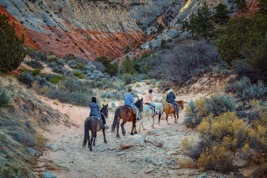 Orderville: East Zion Park White Mountain Horseback Tour - The return ride and the one-hour limit