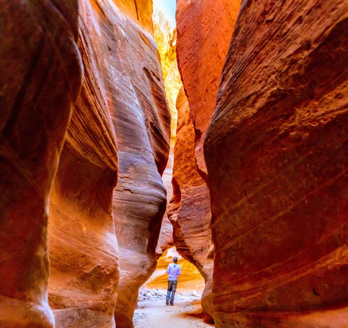 Orderville: East Zion Park White Mountain Horseback Tour - Meeting the horses at the East Zion stables