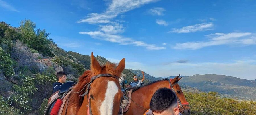 Orosei: horse riding on the beach - Is $98 a fair price for two hours?