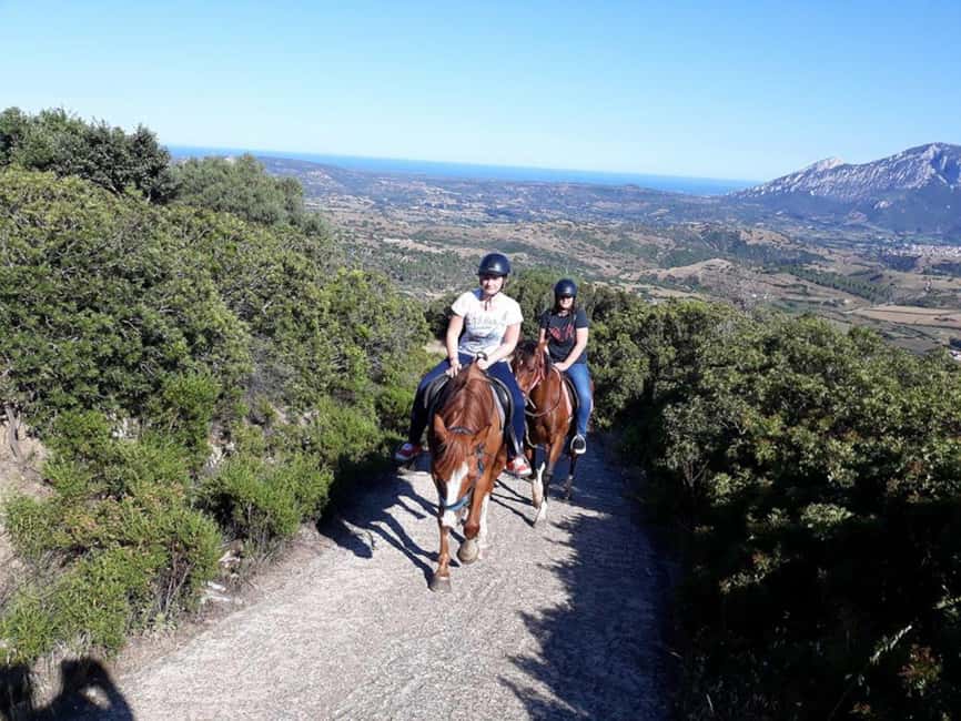 Orosei: horse riding on the beach - Meeting the horses and preparing to ride