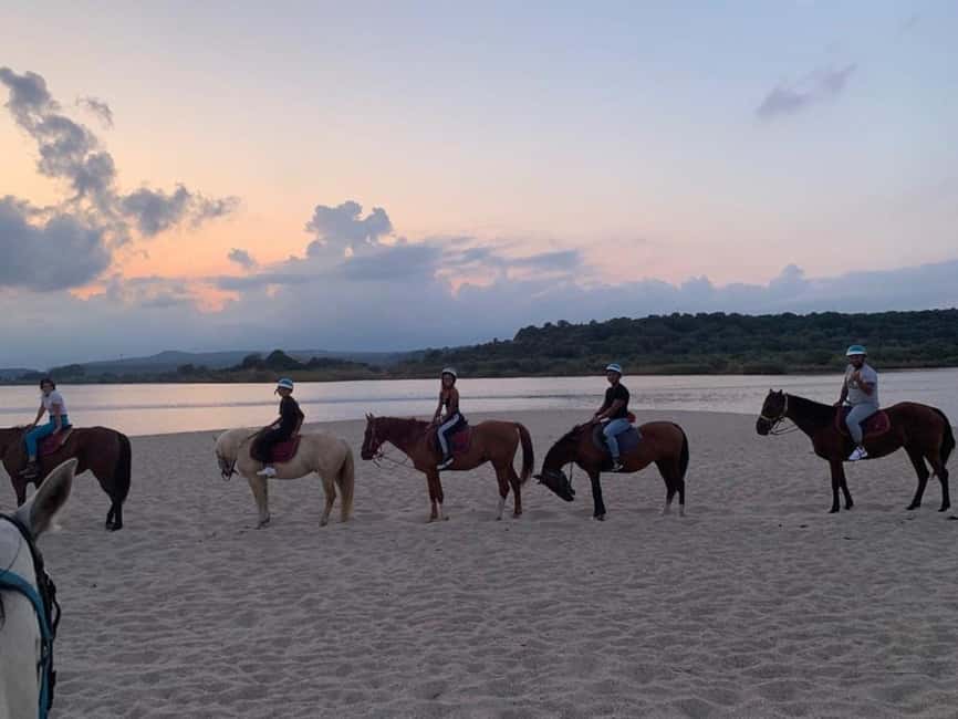 Orosei: horse riding on the beach - Should you book it?